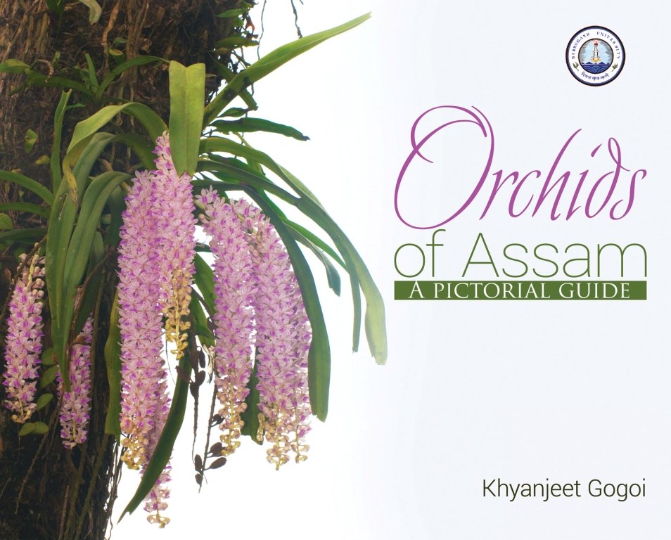 Orchids of Assam